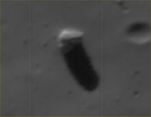 The "Phobos' Monolith" (HD/EDM n.2 - credits for the additional process.: Dr Marco Faccin - Lunexit Team) 
nessun commento
Parole chiave: Martian Moons - Phobos
