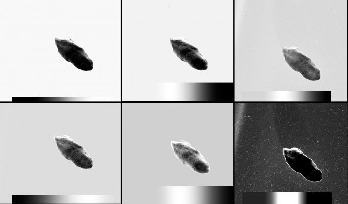 Prometheus
nessun commento
Parole chiave: Saturnian Moons - Prometheus