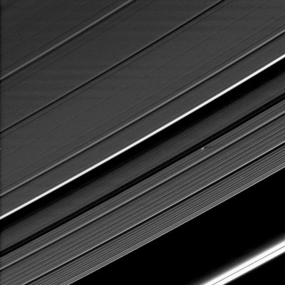 Giant "Propeller" in the A-Ring (CTX Frame)
An unusually large "Propeller" feature is detected just beyond the Encke Gap in this Cassini image of Saturn’s outer A-Ring taken a couple days after the Planet’s August 2009 Equinox. 

The unique geometry of Equinox has thrown into relief small moonlets within the Rings and the structures they create around them. Propeller-like features, a few kilometers long, centered on and created by the action of small embedded moonlets only about 100 meters across, were discovered early in the mission (see also PIA07792 and PIA07790). 
These previous findings constituted the first recognition of the presence in Saturn’s Rings of bodies bigger than the largest ring particles (about 10 meters, or 30 feet, across) but smaller than the 8-Km-wide (about 5-mile-wide) ring moon, Daphnis, in the outer A-Ring. 

From the 350-Km (about 220-mile) length of the shadow cast by this 130-Km-long (about 80-mile-long) Propeller, the heights of these features above the Ring-Plane have been measured to reach about 200 meters (650 feet), indicating the moonlet responsible for the Propeller in this image is likely to be 400 meters (1300 feet) across. 

A previously released early-Equinox image also had revealed a moonlet in the outer B-Ring about 400 meters (1300 feet) across (see PIA11665).
Parole chiave: Saturn's Rings - "A" Ring