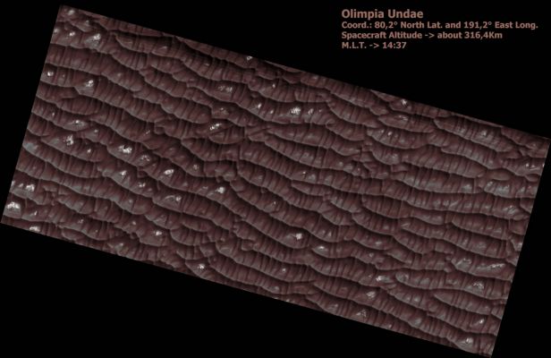 The Dunes of Olympia Undae (MULTISPECTRUM; credits: Lunexit)
This HiRISE image shows dark dunes and light polygonal terrain in Olympia Undae, also known as the North Polar Erg.
Two sets of dunes are obvious. The major set trends ~North-South, indicating winds from the East or West. Between the crests of these dunes is a second set oriented mostly East-West.
Zooming in on the dunes, a rippled texture is apparent, probably due to redistribution of sand at the scale of meters and less. Near the crests of some dunes are channel-like features, with some branching downslope. 
The origin of these channels is unknown, but they may result from the flow and displacement of sand that was fluidized by sublimating CO2 or water frost.
Bright patches of ground are found in some inter-dune areas, with many having a polygonal texture. Polygons on Earth form from contraction induced by stresses from dehydration, cooling, and other processes, so these features may have a similar origin. 

The CRISM instrument on MRO and OMEGA on Mars Express indicates that many dunes in Olympia Undae are rich in the mineral gypsum. 
Parole chiave: Mars from orbit - Dunes - Olympia Undae Region