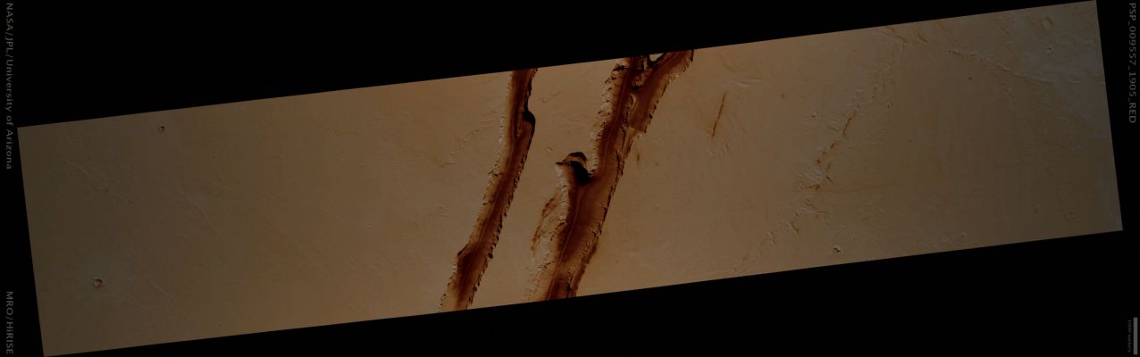 Channels in Athabasca Valles (Natural Colors; credits for the additional process. and color.: Dr Paolo C. Fienga - Lunar Explorer Italia)
Mars Local Time: 15:32 (middle afternoon)
Coord. (centered): 10,3° North Lat. and 157,0° East Long.
Spacecraft altitude: 292,6 Km (such as about 182,9 miles) 
Original image scale range: 29,3 cm/pixel (with 1 x 1 binning) so objects ~88 cm across are resolved 
Map projected scale: 25 cm/pixel 
Map projection: EQUIRECTANGULAR 
Emission Angle: 19,7° 
Phase Angle: 35,8°
Solar Incidence Angle: 52° (meaning that the Sun is about 38° above the Local Horizon)
Solar Longitude: 110,6° (Northern Summer)
Credits: NASA/JPL/University of Arizona
Additional process. and coloring: Lunar Explorer Italia
Parole chiave: Mars from orbit - Athabasca Valles Canyon System