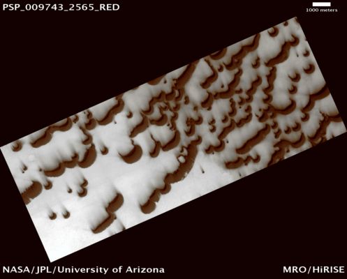 Northern Dunes (possible True Colors; credits: Lunar Explorer Italia)
Mars Local Time: 14:20 (early afternoon)
Coord. (centered): 76,2° North Lat. and 95,3° East Long.
Spacecraft altitude: 330,1 Km (such as about 206,3 miles) 
Original image scale range: 33 cm/pixel (with 1 x 1 binning) so objects ~99 cm across are resolved 
Map projected scale: 25 cm/pixel 
Map projection: EQUIRECTANGULAR 
Emission Angle: 17,0° 
Phase Angle: 71,6°
Solar Incidence Angle: 57° (meaning that the Sun is about 33° above the Local Horizon)
Solar Longitude: 117,3° (Northern Summer)
Credits: NASA/JPL/University of Arizona
Additional process. and coloring: Lunar Explorer Italia
Parole chiave: Mars from orbit - Dunes - Northern Dunes