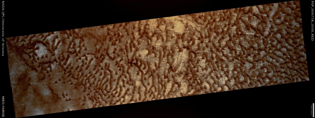 Extremely Unusually-looking Northern Dunefield (possible True Colors; credits: Lunar Explorer Italia)
Mars Local Time: 15:24 (early afternoon)
Coord. (centered): 22,7° North Lat. and 65,8° East Long.
Spacecraft altitude: 282,4 Km (such as about 176,5 miles) 
Original image scale range: 28,3 cm/pixel (with 1 x 1 binning) so objects ~56,5 cm across are resolved 
Map projected scale: 25 cm/pixel 
Map projection: EQUIRECTANGULAR 
Emission Angle: 4,8° 
Phase Angle: 51,5°
Solar Incidence Angle: 47° (meaning that the Sun is about 43° above the Local Horizon)
Solar Longitude: 117,8° (Northern Summer)
Credits: NASA/JPL/University of Arizona
Additional process. and coloring: Lunar Explorer Italia
Parole chiave: Mars from orbit - Dunes - Northern Dunefield