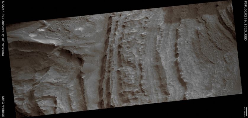 Bedrock inside Terby Crater (possible True Colors; credits: Lunar Explorer Italia)
Mars Local Time: 15:40 (middle afternoon)
Coord. (centered): 27,3° South Lat. and 74,3° East Long.
Spacecraft altitude: 260,9 Km (such as about 163,1 miles) 
Original image scale range: 52,2 cm/pixel (with 1 x 1 binning) so objects ~1,57 mt across are resolved 
Map projected scale: 50 cm/pixel 
Map projection: EQUIRECTANGULAR 
Emission Angle: 6,4° 
Phase Angle: 74,2°
Solar Incidence Angle: 69° (meaning that the Sun is about 21° above the Local Horizon)
Solar Longitude: 136,4° (Northern Summer)
Credits: NASA/JPL/University of Arizona
Additional process. and coloring: Lunar Explorer Italia
Parole chiave: Mars from orbit - Craters - Terby Crater