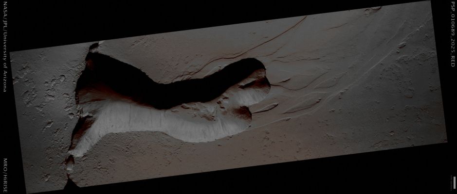 Tectonic Fissure (Absolute Natural Colors; credits for the additional process. and color: Dr Paolo C. Fienga - Lunexit Team)
This image of a region East of Tooting Crater is centered on a Tectonic Fissure West of the Olympus Mons Aureole. Three other Channel Systems formed along it.

The feature of note is a broad shallow Channel System exhibiting a braided pattern that abruptly changes to a steep walled channel system near the Fissure. 
These steep walled channel systems are thought to be formed when ground water flowing out along a cliff undermines the slope resulting in collapse of overlying materials. Erosion then typically moves in a headward direction along the pre-existing shallow Channel System. This process is known as "Groundwater Sapping". 
There are other places on Mars (such as Cerberus Fossae), where these fissures appear to have flood channels associated with them. 
Within this channel there is a more resistant, cliff-forming layer near the surface with some defined horizontal Strata (such as Layers). Multiple Dark Streaks known as slope streaks originate from the base of this hard layer. Slope Streaks are generally dark when first formed and then gradually fade over time. The origin of these Slope Streaks is still under debate, but they are thought to be dry Dust Avalanches.

§§§

Mars Local Time: 15:38 (middle afternoon)
Coord. (centered): 22,1° North Lat. and 208,7° East Long.
Spacecraft altitude: 286,2 Km (such as about 178,9 miles) 
Original image scale range: 57,3 cm/pixel (with 1 x 1 binning) so objects ~1,72 mt across are resolved 
Map projected scale: 50 cm/pixel
Map projection: EQUIRECTANGULAR 
Emission Angle: 0,8° 
Phase Angle: 53,9°
Solar Incidence Angle: 53° (meaning that the Sun is about 37° above the Local Horizon)
Solar Longitude: 153,3° (Northern Summer)
Credits: NASA/JPL/University of Arizona
Additional process. and coloring: Dr Paolo C. Fienga - Lunar Explorer Italia 
Parole chiave: Mars from orbit - Tectonic Fissure