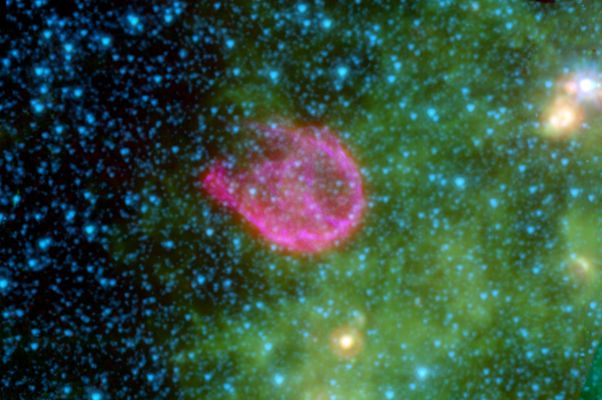 The "Shock-Waves" of N132D
Supernovae are the explosive deaths of the universe's most massive stars. In death, these volatile creatures blast tons of energetic waves into the cosmos, destroying much of the dust surrounding them. 
This false-color composite from NASA's Spitzer Space Telescope and NASA's Chandra X-ray Observatory shows the remnant of one such explosion. The remnant, called N132D, is the wispy pink shell of gas at the center of this image. The pinkish color reveals a clash between the explosion's high-energy shockwaves and surrounding dust grains. 
In the background, small organic molecules called polycyclic aromatic hydrocarbons are shown as tints of green. The blue spots represent stars in our galaxy along this line of sight. 
N132D is located 163.000 LY away in the Large Magellanic Cloud. 
In this image, infrared light at 4,5 microns is mapped to blue, 8,0 microns to green and 24 microns to red. Broadband X-ray light is mapped purple. The infrared data were taken by Spitzer's infrared array camera and multiband imaging photometer, while the X-ray data were captured by Chandra. 

Parole chiave: From Space Images - SST and Chandra X-Ray Space Telescope