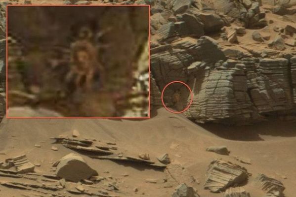 What the Hell is "That"?!? - Sol: unknown
Commenti? 
Parole chiave: Martian Surface - Anomaly