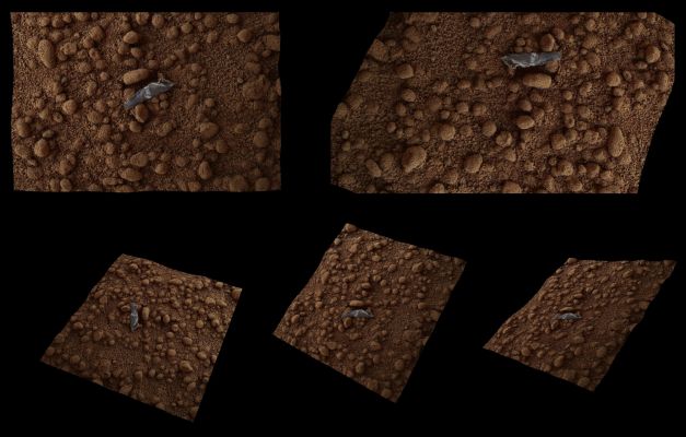 Unusually-looking bright Object near Curiosity - Sol 65 (an Image-Mosaic in Natural Colors by Elisabetta Bonora and Marco Faccin/Lunar Explorer Italia/Italian Planetary Foundation)
Se qualcuno di voi avesse avuto ancora qualche dubbio sulla natura dell'oggetto misterioso ripreso da Curiosity, le ultime immagini del MAHLI ne chiariscono definitivamente la natura.
E' sicuramente un oggetto di plastica: molto probabilmente la protezione di qualcosa che deve essersi strappata e poi deformata (magari la protezione di un cavo). Anche se la sua origine non è certa, potrebbe appartenere allo stadio di discesa di Curiosity (Sky Crane). Durante le fasi di atterraggio sul Pianeta Rosso, potrebbe essere finito sul Rover e poi caduto sul suolo marziano, a seguito delle attività dei giorni scorsi.

(Credits: Elisabetta Bonora and Marco Faccin - Alive Universe Images)
Parole chiave: Martian SUrface - Unusually-looking Object - Gale Crater
