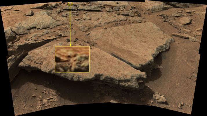 Look who's watching!... - Sol 130 (an Image-Mosaic in Calibrated Natural Colors; credits for the Research: Ivana Tognoloni/Lunar Explorer Italia/Italian Planetary Foundation)
Senza parole, o quasi: da dietro una roccia, posizionata (andiamo "a occhio"...) ad una trentina di metri da "Curiosity", SEMBRA (e sottolineiamo: SEMBRA!) che ci sia un volto "familiare" che spia i movimenti del Rover. 

Il volto i chi? Ma di un "Grigio", naturalmente! Un Grigio il quale, per l'occasione, ha adottato un camouflage perfetto, ha cambiato colore e si è neascosto benissimo tra le rocce di Yellowknife Bay. Ma i suoi grandi ed affusolati occhi neri, uniti al suo inconfondibile "testone", non sono sfuggiti all'occhio della nostra eccezionale Amica e Partner, Ivana Tognoloni. 

Che cosa stiamo guardando, quindi? Un'ennesima illusione ottica? Un'ennesima distorsione dell'immagine derivata dall'eccessiva compressione del frame? O forse un Alieno che osserva Curiosity, cercando di non farsi notare? 

Cari Amici, il dettaglio è lì, bello chiaro, e l'ingrandimento isolato del dettaglio è nel prossimo frame. Giudicate Voi, ovviamente. Con benevolenza, equilibrio e, soprattutto, tanto acume. Perchè su Marte, a quanto abbiamo imparato in anni di analisi ed investigazione, "qualcosa" (o "qualcuno"), in Superficie, che si muove e lascia tracce del suo passare, SEMBRA esserci davvero.....
Parole chiave: Marftian Surface - Gale Crater - Controversial - The "Alien"