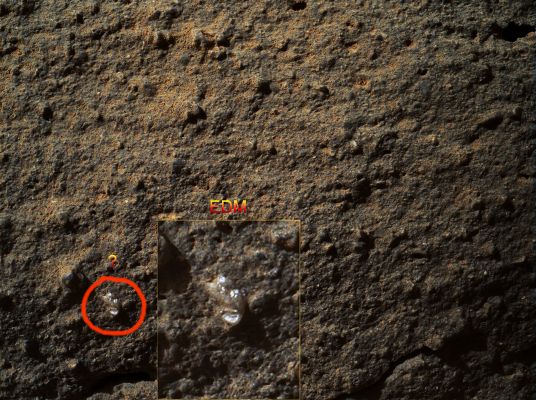 Extremely unusually-looking Surface Feature on the Surface of Gale Crater: the "Martian Flower" - Sol 132 (Credits: Research, additional process. and color.: Elisabetta Bonora and Marco Faccin/Lunar Explorer Italia/Italian Planetary Foundation)
Dopo tantissimo tempo, ecco una nuova e, a nostro parere, assai intrigante Surface Feature individuata dal Rover "Curiosity" all'interno del Cratere Gale. Di che si può trattare? Beh, se rivolgessimo questa domanda ai Tecnici di Pasadena la risposta sarebbe ovvia: "...è un pezzo - l'ennesimo, aggiungeremmo noi... - di Curiosity. Probabilmente un frammento di plastica o il rivestimento di un cavetto...". Ma noi, proprio perchè già conosciamo la risposta degli Amici di Pasadena, questa domanda la rivolgiamo a Voi, Amici Lettori: che cosa stiamo guardando? Qualche piccolo aiuto: l'Albedo (o Riflettività della Luce Solare) dell'oggetto è elevata, la sua apparenza traslucida, la conformazione è irregolare ma, apparentemente, la texture delle sue aree più ampie è liscia. L'oggetto, se osservate attentamente il suo lato alla Vostra Dx, "SEMBRA" essere attaccato al suolo (o comunque pare costituirne parte, il che escluderebbe la sua provenienza da Curiosity) e, in alcuni suoi punti, la polvere giallastra che copre l'intera superficie fotografata, sembra che lo abbia parzialmente intaccato (porzioni superiori ed inferiori a Sx). Questo dato ulteriore ci spinge a ritenere che l'oggetto sia in quella posizione già da un pò di tempo (comunque non tantissimo). Infine (last but not least), Vi suggeriamo di notare l'apparente "sgranatura" ed "apertura secondo linee di frammentazione" delle sue componenti emergenti (una sorta di micro-pistilli - passateci il paragone, please...).
La nostra ipotesi "esotica"? E' un "fiore", oppure il residuo madreperlaceo di una qualche Forma Vitale Indigena. E Voi? Che ne pensate?
Parole chiave: Martian Surface - Extremely Controversial Surface Feature - The Flower