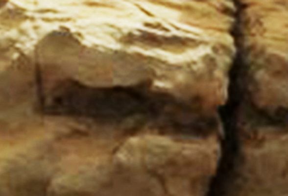 Another "Rat" on Mars! - Sol 173 (EDM; Enhanced and Saturated Natural Colors; credits for the Research: Ivana Tognoloni/Lunar Explorer Italia/Italian Planetary Foundation)
...certo, non è un "topo", molto probabilmente... Ma non dite che non ci assomiglia in maniera quasi perfetta. E comunque, a parere di chi scrive, su Marte, Superficie e Sub-Superficie e, a maggior ragione, ancora più in profondità, c'è Vita. Vita Animale. Vita Animale che si muove, respira, agisce, si nutre, pensa e fa quello che fa, in accordo a Leggi e Schemi Biologici che noi, poveri "terricoli", semplicemente non comprendiamo. E che di conseguenza, non comprendendo, nella nostra arroganza senza fine, rifiutiamo a priori. Pensateci sopra....
Parole chiave: Martian Surface - Controversial - "The Gale's Rat"
