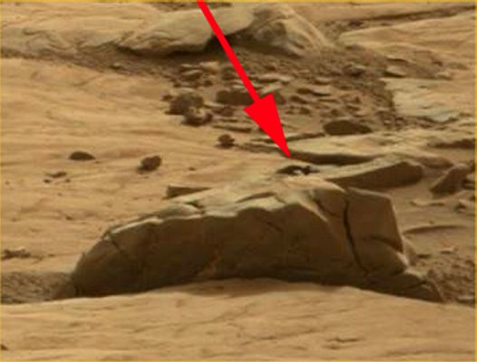 Extremely unusually-looking Surface Feature on the Floor of Gale Crater: "The Mushroom" - Sol 198 (EDM - Enhanced Natural Colors; Credits: Dr Gianluigi Barca/LXTT/IPF)
nessun commento
Parole chiave: Martian Surface - Controversial - "The Mushroom"