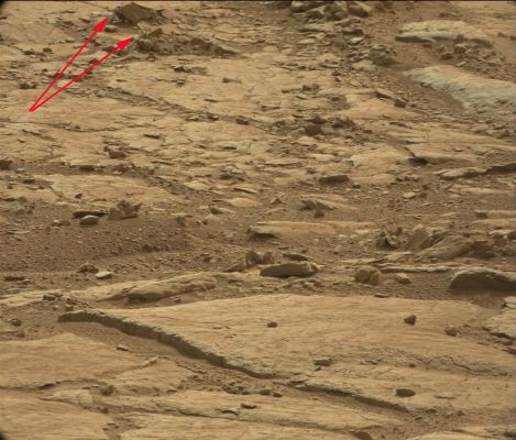 Extremely unusually-looking Surface Features on the Floor of Gale Crater - Sol 198 (Calibrated Natural Colors; EDM: Absolute Natural Colors - Credits: Dr Gianluigi Barca/LXTT/IPF)
Indicate dalla freccia di color rosso, altre due straordinarie Features che "appaiono" sulla Superficie del Cratere Gale: la prima (quella più in alto), sembra (è) una sorte di "Proboscide" che sembra sbucare da una crepa o un foro; la seconda, ricorda tanto il corpo sinuoso di un Sauro, la cui "pelle" ha esattamente lo stesso colore della Superficie su cui giace. Ed anche in questo caso, un GRANDISSIMO COMPLIMENTO al nostro Vice-Presidente e Partner Storico, Dott. Gianluigi Barca (alisa Big "G"). Non possiamo "spiegare", perchè non ne abbiamo i mezzi. Possiamo solo invitarVi a GUARDARE e, se ci riuscite, a VEDERE...
Parole chiave: Martian Surface - Controversial - "The Proboscis" and "The Lizard"