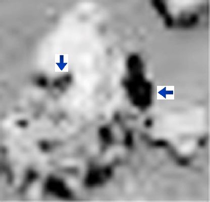 So?!? - Sol 26
Il GIF "parla" da solo. E allora? Qualcosa entra ed esce dalle rocce (alcune/molte) di Marte: si o no (e la magnificazione é ininfluente)? 
I frames utilizzati sono NASA - Original. Controllate se volete, tanto la Verità é lì, davanti a Voi.
Parole chiave: Martian Surface - GIF-Movie - Controversial