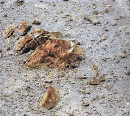 Morning "Frost" at Gale? - Sol 379 (Natural Colors; credits for the additional process. and color.: Elisabetta Bonora and Marco Faccin/Lunar Explorer Italia/Italian Planetary Foundation)
Sia detto senza polemica, le immagini NASA in Natural, Approximately and Almost True/Natural Colors del Pavimento (Floor) di Gale Crater ci hanno abituato ad un giallo opaco, con pressocchè zero sfumature e zero colorazioni diverse. uUna colorazione - a parere di chi scrive - veramente innaturale.

Ma è davvero così? A noi, come Gruppo Lunexit/IPF, sembra poco credibile. 
Ed il dubbio cresce di molto, una volta che si sia adottato lo stesso Image and Color Processing usato dalla NASA, ma ottenendo risultati RADICALMENTE differenti. Molti di Voi ricorderanno lo strato di "Brina" (---> Frost) che, tutto intorno al Viking Lander 2, caratterizzava la Pianura di Utopia, durante i lunghi mesi del gelido Inverno Marziano. Ora, perché escludere a priori che, anche all'interno del Cratere Gale, possano verificarsi delle "brinate"? 
Ma siamo realmente sicuri che, negli strati più bassi dell'Atmosfera Marziana (a ridosso del suolo, praticamente), non vi sia del vapore acqueo che, ad alcune ore della giornata, congela e si deposita, colorando di bianco/grigio i rilievi giallastri dell'interno del Cratere Gale? 

Ci hanno chiamati "complottisti" ed "incompetenti". Sarà anche così. Ma immagini come questa, NON "taroccate" e NON "alterate" in alcun modo, le quali ci fanno nascere dei legittimi dubbi e dunque ci fanno pensare (l'attività più ALTA - e meno usata... - dagli "umani), dove altro pensate di trovarle, se non qui?!? Quale Sito "Dedicato" e NON SCHIERATO, oltre a Lunar Explorer Italia, potete trovare sulla Rete?!? 

Si, lo sappiamo: la NASA è la NASA. Ma l'Uomo, l'Essere Umano, con la sua Intelligenza e Capacità di discernimento e di critica, è sempre e comunque di più. Noi Vi offriamo il massimo che possiamo ottenere, con i nostri mezzi e le nostre capacità e competenze. E lo facciamo in Buona Fede, SEMPRE. Non Vi piace? Girate pagina. Ma se non sapete far nulla di realmente Vostro e di realmente valido, almeno evitate di criticare e di parlare a vanvera. Per favore. Lo diciamo per Voi, perché la "figura" che fanno i nostri (ignoti, incappucciati ed ignorantissimi) detrattori, è veramente patetica....
Parole chiave: Martian Surface - Controversial - possible Frost - Gale Crater