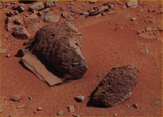 Bizarre-looking Rocks - Sol 528 (Absolute Natural Colors; credits for the additional process. and color. Dr Paolo C. Fienga/LXTT/IPF)
Due rocce decisamente curiose (specie quella posta alla Sx dell'Osservatore), le quali presentano una caratterizzazione superficiale assolutamente peculiare. Se Gale Crater, effettivamente ed in un'era remota, fu veramente un Lago, allora quello che si vede sulle due rocce potrebbe essere il residuo - fossile - di vegetazione sub-lacuale. E non solo! Sulla roccia di Sx, si vede NETTAMENTE l'esistenza di un foro il quale, come già ipotizzammo in passato - per un caso simile - potrebbe essere un Predatory Borehole.
Ovviamente la NASA, su questo ed altri rilievi similari, ha detto il solito. E cioè nulla. Voi che ne pensate?!?

p.s.: guardate la roccia "porosa", "irregolare" e "forata" a Dx ed osservate come essa sembra essere "parte integrante" della roccia stratificata sottostante. Sono tutt'uno? Sono l'una "appoggiata" all'altra? Si sono "incollate" nelle ere?.... Che ne dite?
Parole chiave: Martian Surface - Extremely Controversial Surface Feature - The Fossils