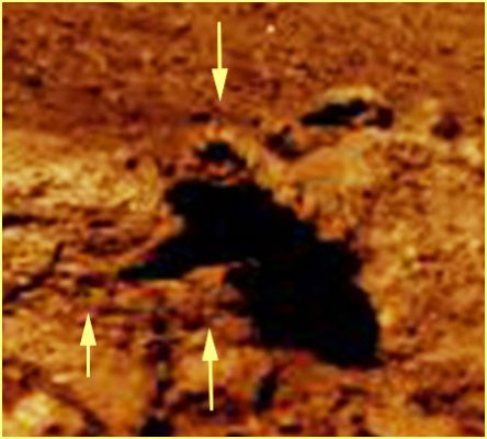 Interesting Boulders - Sol 578 (EDM - Natural Colors; credits for the additional process. and color.: Dr Paolo C. Fienga and Ivana Tognoloni - Lunexit Team) 
nessun commento
Parole chiave: Martian Surface - Boulders - Controversial