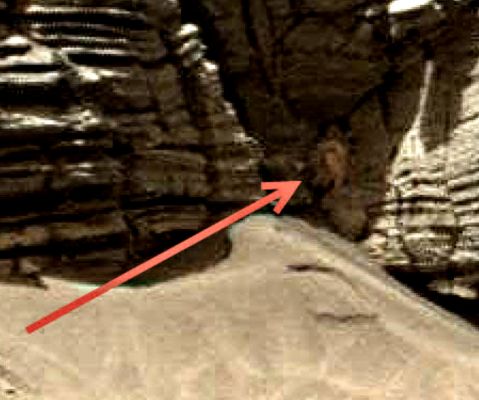 The "Crab/Octopus-like Feature": the best image we can have (SEDM) - Sol 710
Allora: che si tratti di una "Creatura Marziana" non lo possiamo dire ed é pure impossibile dirlo, a questo livello di definizione. 

Ma che si tratti di "qualcosa" che SEMBRA essere "attaccata/appiccicata" alla parete rocciosa, non vi sono dubbi. Perché? Perché la "texture" ed il colore é/sono completamente diversa/i (e questo é un fatto).

Noi distinguiamo nettamente una "Struttura Tentacolare" (che ci ricorda "Alien", in verità...). Sembra una sorta di "polpo" (od un "Ragno", od anche un "Granchio", ma di un qualche tipo "Esotico" - NON Terrstre) che sta attaccato alla roccia.

Come sempre: é una svista? Un gioco (pazzesco) di luci ed ombre? E' un'Anomalia della roccia stessa? O é "qualcosa" d'altro?!? Scrivete...
Parole chiave: Martian Surface - Controversial
