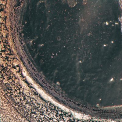 Grinding... - Sol 82 (True Colors + MULTISPECTRUM; credits: Dr M. Faccin & Lunexit)
...Un Lavoro davvero splendido dell'eccezionale Dr Marco Faccin. 

Ma ora osservate e riflettete: siamo appena all'inizio dell'Avventura Marziana e, forse, le corde del cover-up non erano state ancora fissate bene...

Guardate: il "grinding" di Spirit, secondo Voi, che cosa evidenzia?

Parole chiave: Microscopic Imager - Highly Controversial Feature