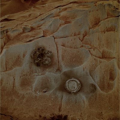 The Martian "Iris" - Sol 86 (Natural Colors; credits: Dr G. Barca)
nessun commento
Parole chiave: Martian Surface - Buried Boulder