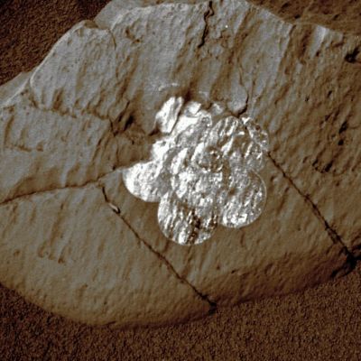 The "Martian Iris" - Sol 100 (EDM - Enhanced Natural Colors; credits for the additional process. and color.: Dr Paolo C. Fienga - Lunar Explorer Italia)
nessun commento
Parole chiave: Martian Surface - Boulder with "Brushing" evidence