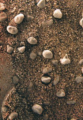 Pebbles in the "wet" (?) Martian Sand... - Sol 1008 (True Colors + MULTISPECTRUM; credits: Dr M. Faccin & Lunexit)
nessun commento
Parole chiave: Microscopic Imager - Pebbles and Sand