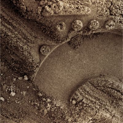 The "M�ssbauer Mark" - Sol 1017 (Natural Colors; credits for the additional process. and color.: Dr Paolo C. Fienga - Lunexit Team)
nessun commento
Parole chiave: Microscopic Imager - M�ssbauer Mark