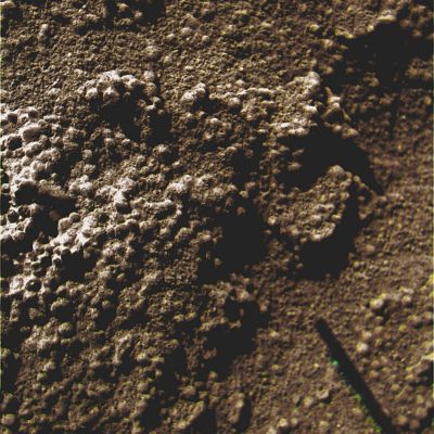 Martian "Berries", "Sand" granules or just rocky "Native Lifeforms"? (5) - Sol 1031 (Superdefinition + MULTISPECTRUM; credits: Dr G. Barca & Lunexit)
nessun commento
Parole chiave: Martian Surface - Extremely Unusual Surface Feature - The "Eggs"