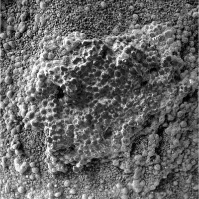 What are these "eggs-like" things? - Sol 1035
nessun commento
Parole chiave: Microscopic Imager - Martian Soil - Controversial