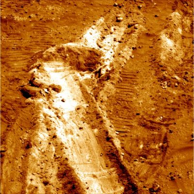 Rover Tracks (3) - Sol 1202
nessun commento
Parole chiave: Martian Surface - Rover Tracks with possible Silica dust
