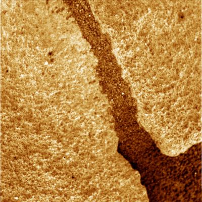 Close views (2) - Sol 1205
nessun commento
Parole chiave: Microscopic Imager - Martian Rocks