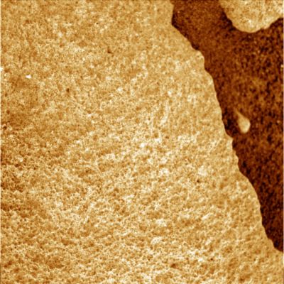 Close views (3) - Sol 1205
nessun commento
Parole chiave: Microscopic Imager - Martian Rocks