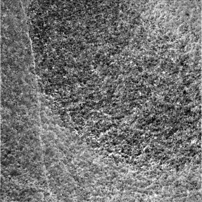 Close views (4) - Sol 1205
nessun commento
Parole chiave: Microscopic Imager - Martian Rocks