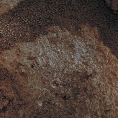 Watching Closer and Closer... - Sol 1209 (Absolute Natural Colors; credits for the additional process. and color: Dr Paolo C. Fienga - Lunexit Team)
nessun commento
Parole chiave: Martian Surface - Porous Rock and Dust