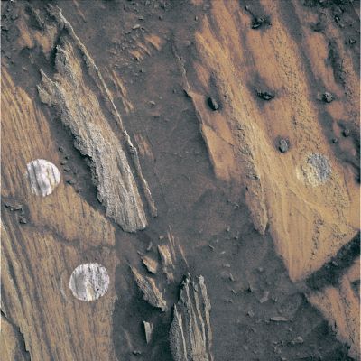 Is that a coin?!? - Sol 1220 (credits: Dr Marco Faccin)
nessun commento
Parole chiave: Martian Surface - Anomalous Surface Feature - The Coin