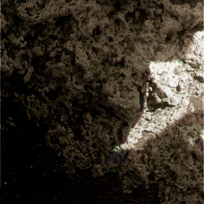 Light and Shadow... - Sol 1225 (Superdefinition; credits: Dr G. Barca)
nessun commento
Parole chiave: Martian Surface - Sunlight on a small rock