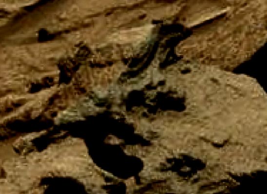 Martian Iguana?!? (EDM) - Sol 1293
Dettaglio esaltato nei contrasti e nel colore. Ribadisco: é un'illusione ottica od una semplice svista? Certo! Può pure essere. Ma Voi, che ne pensate?!?
Parole chiave: Martian Surface - Controversial