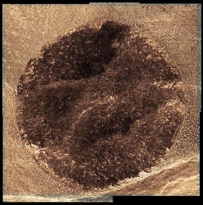 Scraping the Rocks (1) - Sol 1368 (natural colors; elab. Dr Marco Faccin)
nessun commento
Parole chiave: Microscopic Imager - Martian Rocks - Home Plate Area