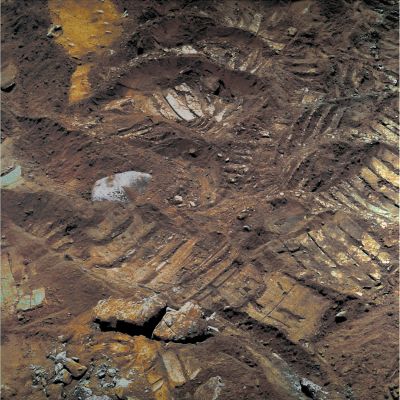 Rover Tracks and colored Pebbles - Sol 1387 (MULTISPECTRUM; elab. Lunexit)
nessun commento
Parole chiave: Martian Surface - Rover Tracks and Pebbles