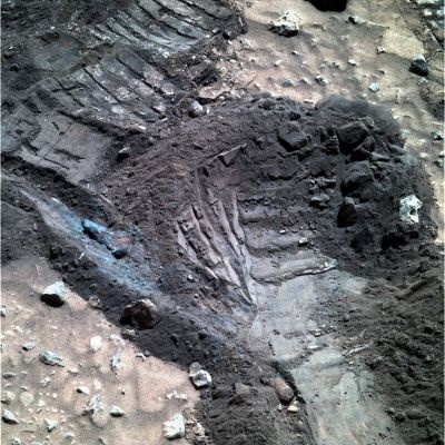 Rover Tracks and Blue Pebbles - Sol 1388 (Natural Colors; elab. Dr Marco Faccin - Lunexit Team)
Un bellissimo commento (che fa pensare), a cura del Dr Faccin:"...A volte penso che qualche giapponese sia dentro al Programma MER/Marte: un certo metodo di "fare" fotografia è tipico del Sol Levante. 

Un Metodo dettato da una cultura essenzialmente diversa e forse più incline al particolare che all'insieme. Spirit zappa il terreno e riesuma ciò che è sotto a pochi cm - tra cui i famosi mirtilli -; Opportunity non ha bisogno di scavare, quasi che potrebbe farne delle marmellate con i berries...Nello stesso tempo, Opportunity ha gli obbiettivi veramente sporchi, mentre Spirit è bello lindo e, sopra la polvere, ci cammina...

Possiamo dedurre che i MER si muovano in ambienti diversi? Spirit in un ambiente con meno vento ad esempio, ed in una zona dove difficilmente la polvere riesce a ricoprire il primo strato di superficie. In conclusione quello che sta "al di sotto" è veramente diverso dalla superfice visibile. 

A differenza di quanto vediamo qui, sulla nostra Terra, su Marte abbiamo depositi, a strati, di "mirtilli"; tenere pietre evidenziate dai filtri in blu che potrebbero essere e/o rappresentare dei fossili - e non espressamente dei minerali... -. I Rover scavano con le loro ruote ed il  peso di Spirit, su Marte, dovrebbe essere intorno al quintale (o forse meno), distribuito poi su più punti. Il che significa che per frantumare quel "blu" occorre davvero poco.
Un "blu tenero", in fondo.

Ed oltre al blu, c'è tutto il resto...".

Già: c'è TUTTO il resto... Complimenti, ancora una volta, al nostro Caro Amico e Socio, Dr Faccin!
Parole chiave: Martian Surface - Rover Tracks and Blue Pebbles
