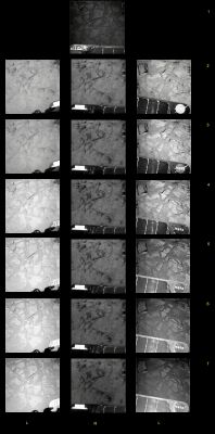 Filter Tricks... - Sol 1408 (credits: Dr Marco Faccin)
E' attraverso un magnifico fotomosaico predisposto dal Dr Faccin che possiamo, ancora una volta, cercare di rispondere – proponendo un esempio concreto – alla domanda che proviene da alcuni Amici di Lunexit i quali ritengono che le nostre elaborazioni a colori, alle volte, sìano inspiegabilmente "troppo diverse” (fra loro) per essere davvero corrette.

Beh, che dire? 
I frames che compongono questo mosaico sono stati volutamente lasciati in b/n. 
Guardate Voi stessi come NON SOLO la superficie di Marte, ma anche la porzione di Pannelli Solari catturata nei diversi frames, CAMBINO RADICALMENTE a seconda del tipo di filtro/colore usato per la ripresa: alcuni particolari (scritta “JPL” inclusa) emergono, altri spariscono, il colore e la luminosità di fondo vengono stravolti.
E' inevitabile che questi vasti shifts influiscano in maniera evidente sul nostro processo di coloring ma, come potete vedere Voi stessi, è il RAW NASA frame che cambia in maniera un pò...radicale, a seconda del filtro/colore usato.
Ed è anche per questo che, a volte, siamo noi stessi a meravigliarci delle "sbandate cromatiche" che vengono fuori a colorizzazione ultimata.

Ma Voi pensate che queste "oscillazioni" sìano inevitabilmente casuali? 
Secondo noi no, e come lo stesso Dr Faccin suggerisce, lo scopo di alcuni flitri/colore potrebbe essere (noi diciamo “è”) quello di far "emergere", appunto, dalla Dominante Cromatica di fondo che caratterizza il suolo di Marte, qualche dettaglio decisamente intrigante.

Cristalli, rocce anomale, elementi metallici e, perché no?, magari tracce di Matrici Biologiche, forse...

Sperando di essere stati chiari, ringraziamo di cuore il sempre più bravo Dr Faccin e Vi invitiamo a riflettere su tutto questo ed a scriverci!

Parole chiave: Martian Surface and part of MER Spirit