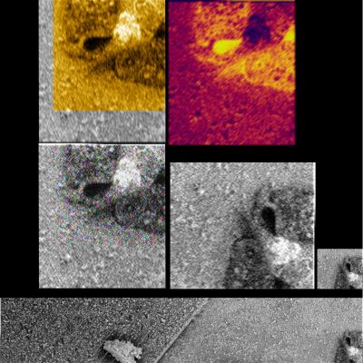 What's on Spirit Solar Panels? (look carefully - by Dr Marco Faccin) - Sol 1473
C'è qualcosa che, trasportato dal vento, si è depositato sui pannelli solari di Spirit. La simil-cenere (scusate, ma non abbiamo trovato un'espressione migliore per indicare la "polvere" che ormai ricopre tutto il Rover), nel dettaglio magnificato, evidenzia una texture molto particolare che la fa assomigliare più ad aggregazioni di corpuscoli a natura mista ed albedo elevata (in apparenza leggermente squamati e simili, appunto, alle ceneri vulcaniche recenti), piuttosto che a semplici agglomerati di polveri sottili. Comunque sia, il dettaglio visibile in basso a Dx dell'Osservatore non può non attrarre per la sua intrinseca diversità rispetto al resto dei particolari visibili.

Di che cosa si tratta? O meglio: che cosa "NON può essere"? 

Ebbene noi riteniamo che NON sia una (ancorchè minuscola) scheggia di roccia, nè una feature dello stesso Rover, resa irriconoscibile dall'accumulo di polveri. 
Si tratta di un corpo estraneo che dovrebbe essere (evidentemente) molto leggero ma che, in qualche modo, si è "appiccicato" ai pannelli del Rover (questo - secondo noi importante - elemento di valutazione lo deduciamo dal numero e dalla tipologia di corpuscoli che lo ricopre e che è qualitativamente e quantitativamente omogeneo rispetto a quanto vediamo essersi depositato su tutto il resto dei predetti pannelli).

Insomma: qualunque cosa sia, è sul Rover da qualche tempo. 

Un grazie di cuore e COMPLIMENTI al nostro bravissimo Dr Faccin per l'elaborazione e gli spunti!
Parole chiave: MER Spirit - Solar Panels - Controversial