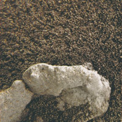 Greenish "soil"... - Sol 162 (Superdefinition + MULTISPECTRUM; credits: Dr M. Faccin & Lunexit)
nessun commento
Parole chiave: Microscopic Imager - Greenish Soil - Controversial