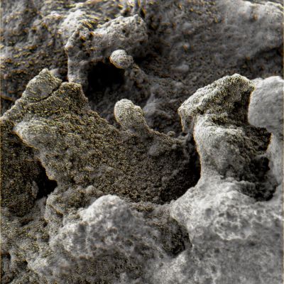 Greenish "dust" or Martian Moss? - Sol 170 (Superdefinition; credits: Dr G. Barca)
nessun commento
Parole chiave: Microscopic Imager - Possible Fossilized Medrepore with Greenish Substance on it