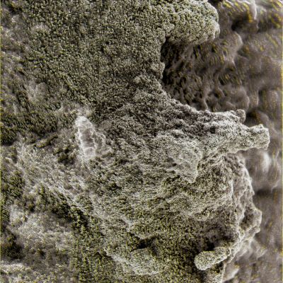 Greenish "dust" or Martian Moss? - Sol 171 (Superdefinition; credits: Dr G. Barca)
nessun commento
Parole chiave: Microscopic Imager - Greenish Dust - Controversial