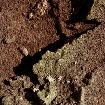Surface Fern? - Sol 177 (True Colors; credits: Dr M. Faccin)
Ci sono volute ore di Lavoro per arrivare a questo tipo di immagine, caratterizzata da una qualità visiva, in termini di definizione e colorazione, largamente superiore a quella che la NASA mette a disposizione del Pubblico.

Vi preghiamo di tenerne conto, mentre la guardate e studiate.

Per quanto attiene il Dr Marco Faccin, non possiamo fare altro che ringraziarlo per quello che ha fatto, che fa e che farà per Lunar Explorer Italia e per tutti i suoi Lettori.
Parole chiave: Microscopic Imager - Martian Surface - Controversial