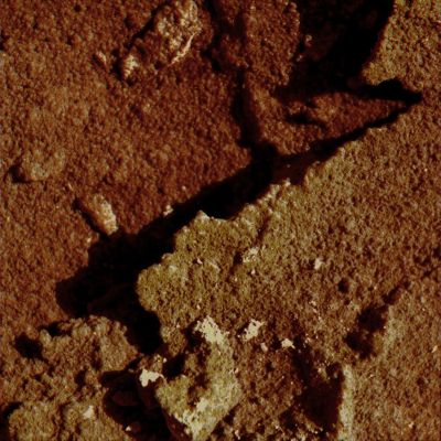 Surface Fern? - Sol 177 (Natural Colors; credits: Dr M. Faccin & Lunexit)
nessun commento
Parole chiave: Microscopic Imager - Martian Surface - Controversial