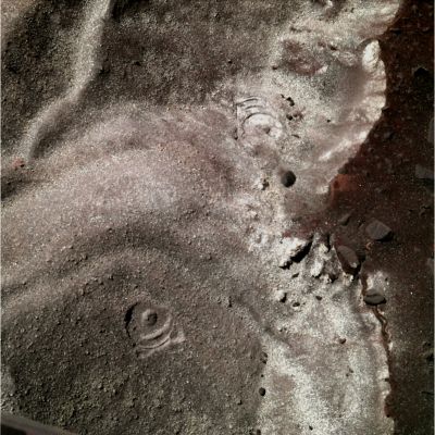 Salt? - Sol 1933 (possible True Colors; credits: Dr G. Barca)
Una curiosità: quanti "Marchi" - lasciati dallo Spettrometro Mossbauer sulla soffice superficie di Gusev - riuscite a contare?
Parole chiave: Martian Surface - Rover Tracks, Salt and colourful Sand