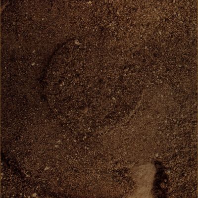 The "Mark" in the Soft Sands of Gusev (Natural Colors; credits: Dr G. Barca & Lunar Explorer Italia)
nessun commento
Parole chiave: Martian Surface - Mossbauer Mark