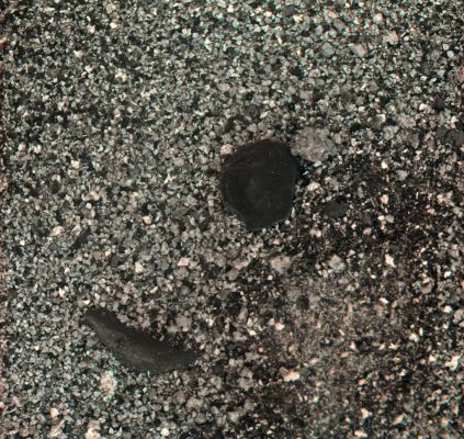 Possible Indigenous Lifeform - Sol 1967 (Natural Colors; credits for the additional process. and color.: Elisabetta Bonora and Marco Faccin - Lunexit Team)
nessun commento
Parole chiave: Microscopic Imager - Surface - Pebbles and Dust - Controversial